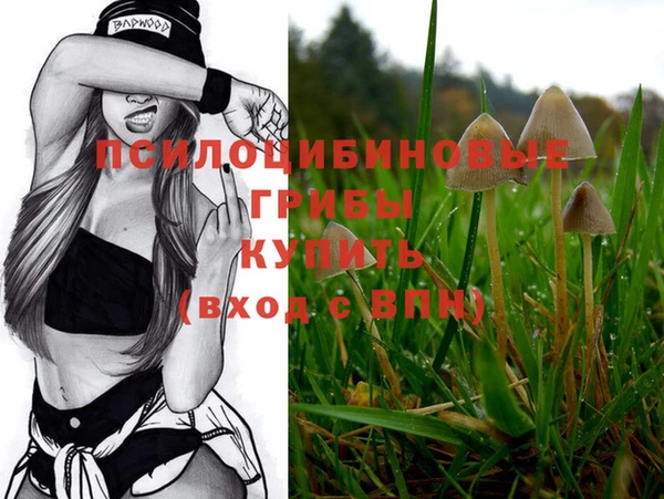 дмт Белоозёрский