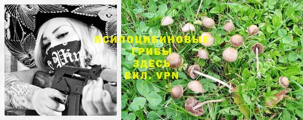 дмт Беломорск