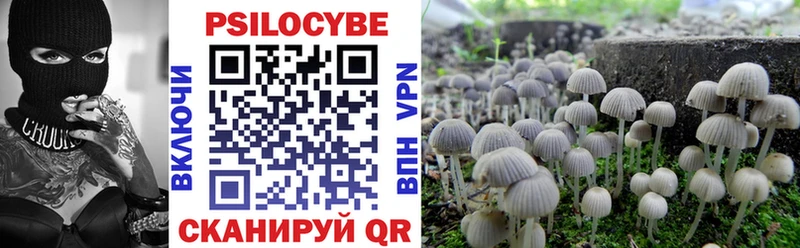 площадка клад  Пыть-Ях  Псилоцибиновые грибы мухоморы  как найти наркотики 